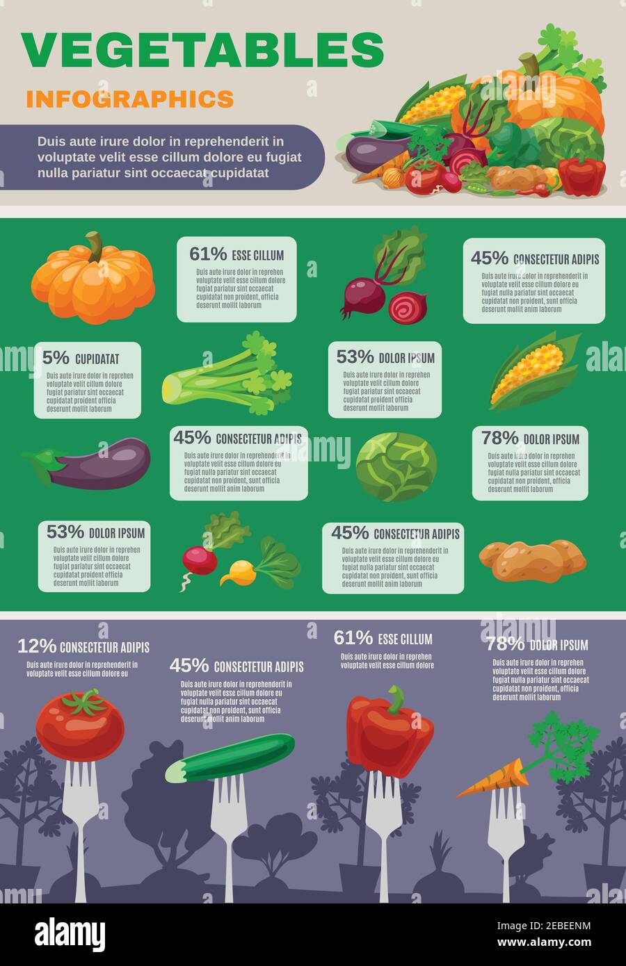 Ensemble d'infographie sur les légumes avec betteraves à la citrouille et aubergine plate illustration vectorielle Illustration de Vecteur