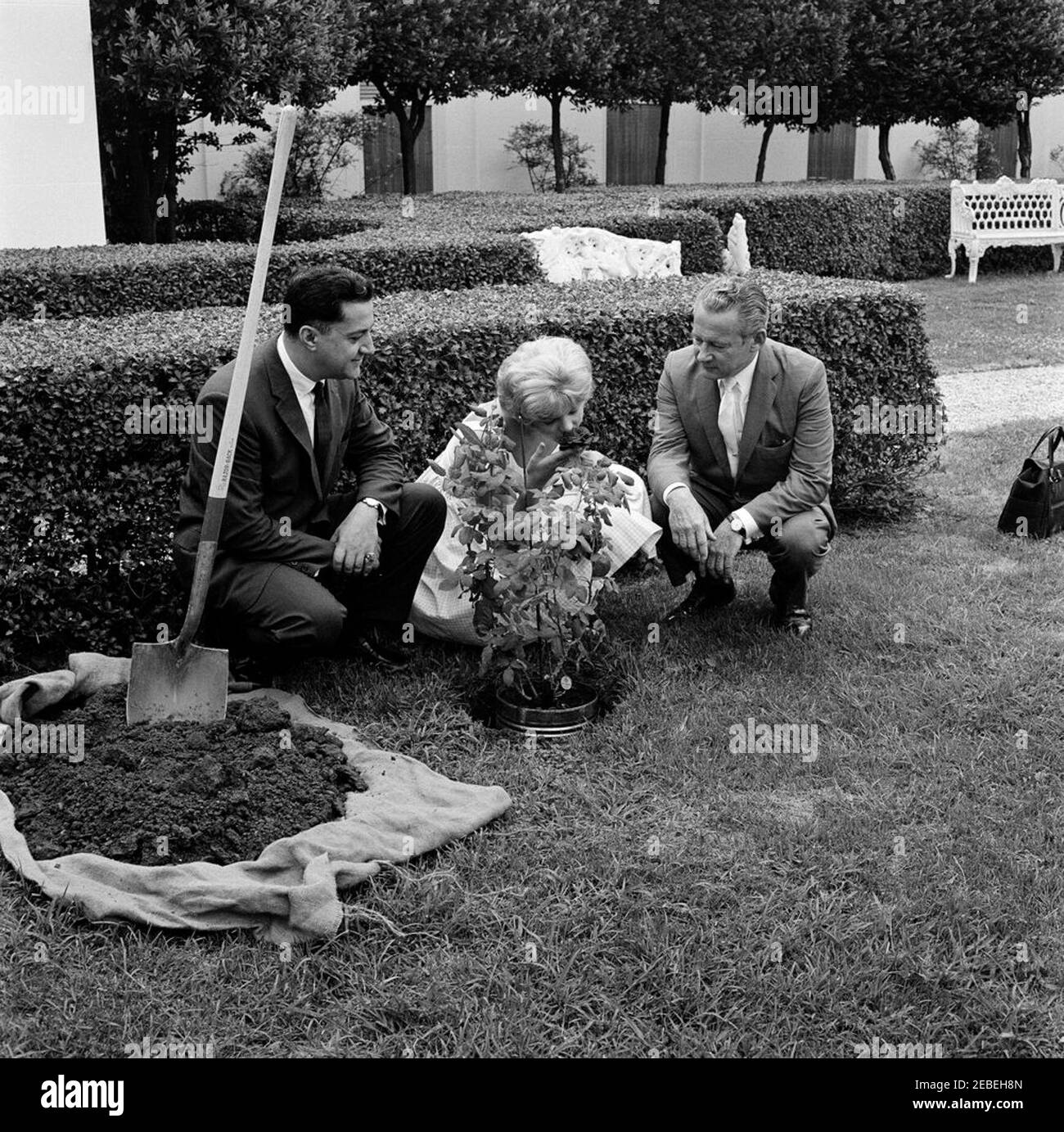 Planter une rosier à la Maison Blanche. Planter une rosier à la Maison Blanche. Trois personnes non identifiées. Aile est, Maison Blanche, Washington, D.C. Banque D'Images