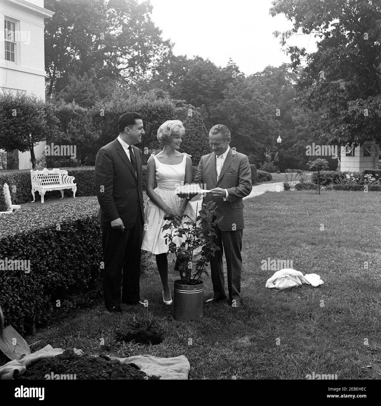 Planter une rosier à la Maison Blanche. Planter une rosier à la Maison Blanche. Trois personnes non identifiées. Aile est, Maison Blanche, Washington, D.C. Banque D'Images