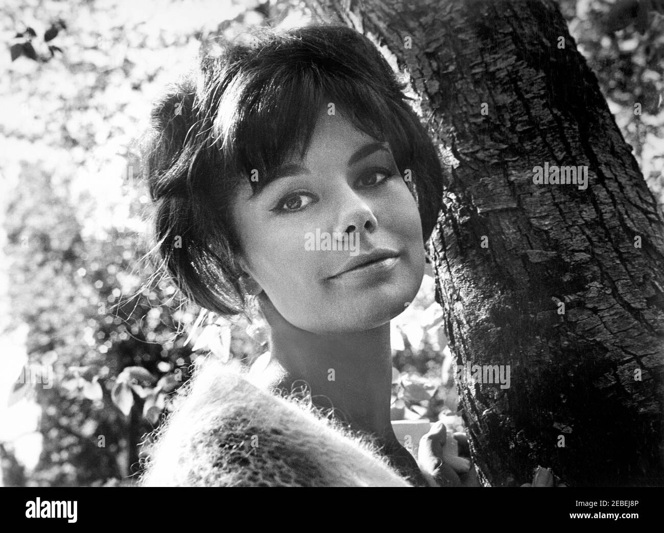 Giorgia Moll, tête et épaules Publicité Portrait pour le film, 'but de la marque', Universal Pictures, 1964 Banque D'Images