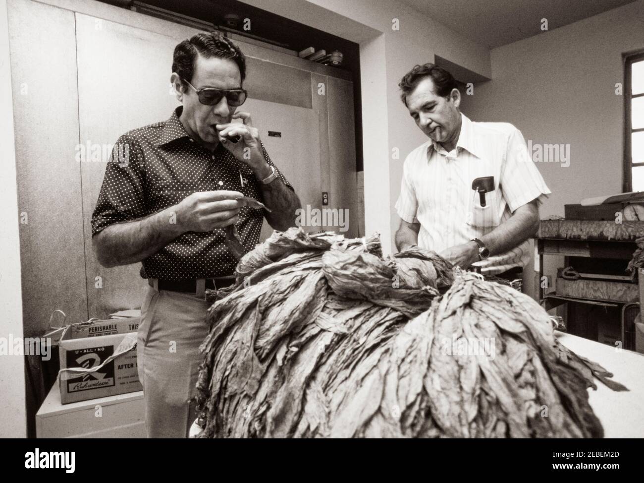 Ex Pat travailleurs cubains à la Padron Cigar Co. À Miami, Floride cigares roulés à la main fabriqués avec du tabac de semence nicaraguayen. 1979. Banque D'Images