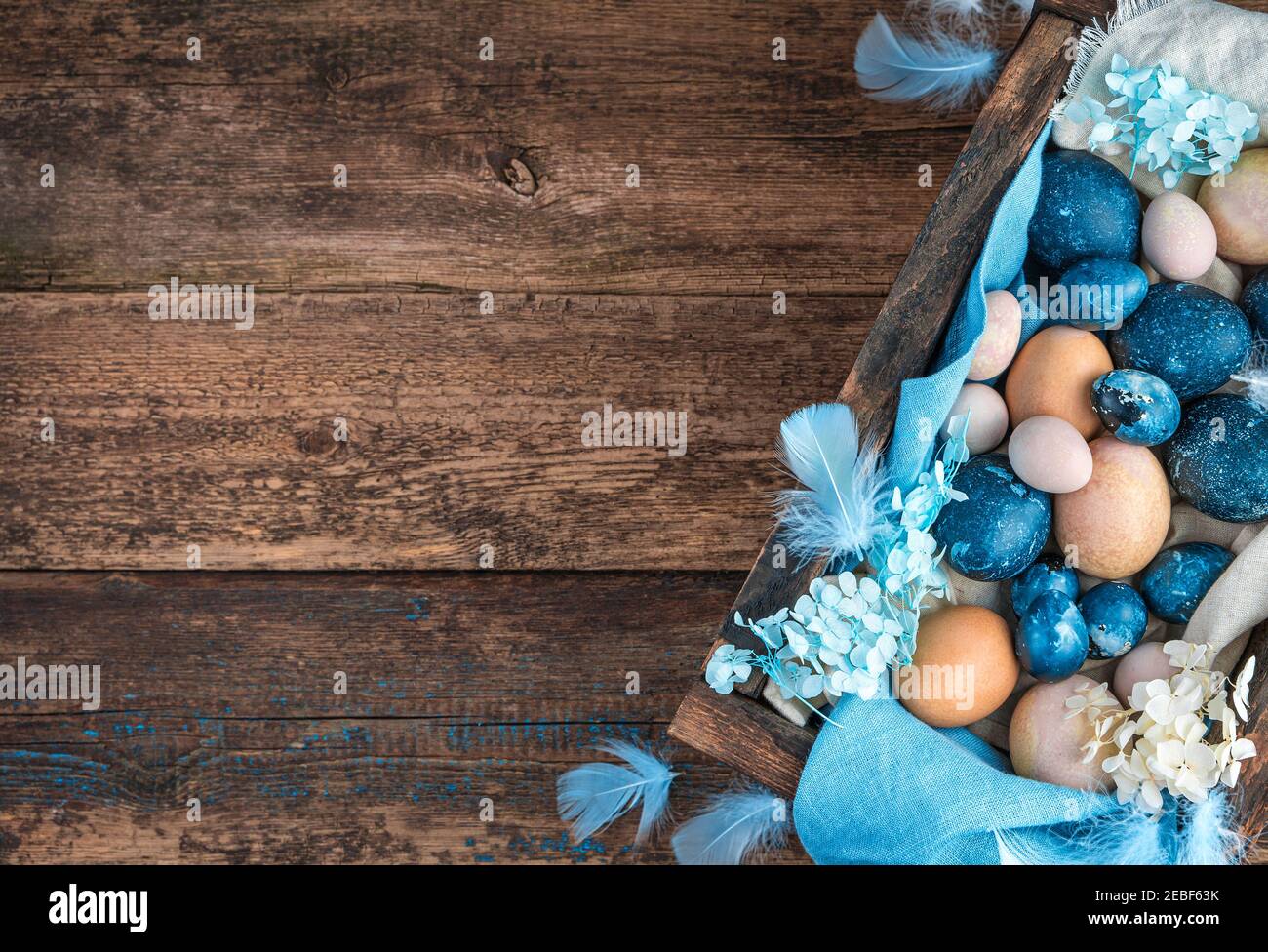Fond de Pâques avec caille bleu marbre et pastel et œufs de poulet, décorés de plumes et de fleurs bleues Banque D'Images