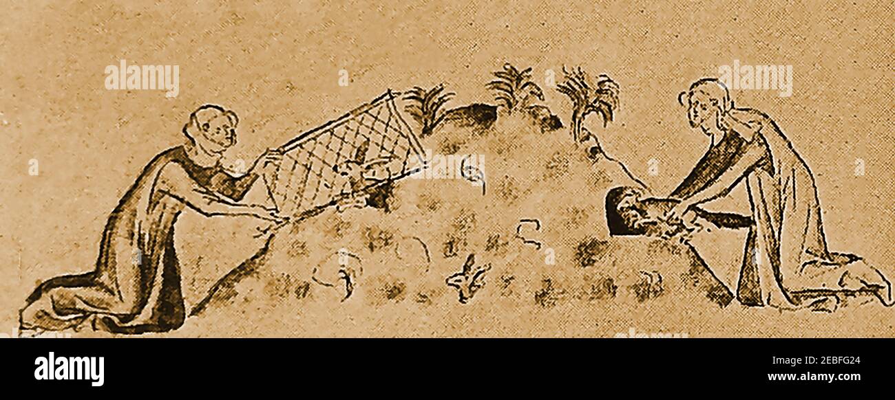 Ancienne illustration originale montrant des ouvriers médiévaux de manoir connus comme des guerriers utilisant des furets et un filet pour capturer des lapins d'un "coussin monticule" sur un warren. Le maintien de lapins dans des enclos spéciaux a été pratiqué depuis les premiers temps. Les warrens domestiques étaient une branche d'élevage connu sous le nom de cunicularia, dédiée à l'élevage de lapins pour la viande et la fourrure. Les Warrens étaient généralement entourés d'une grande fossé ou d'un fossé rempli d'eau parce que les lapins évitent généralement l'eau. Une «pâle», ou clôture également entouré le warren pour garder à l'extérieur des prédateurs naturels. Banque D'Images