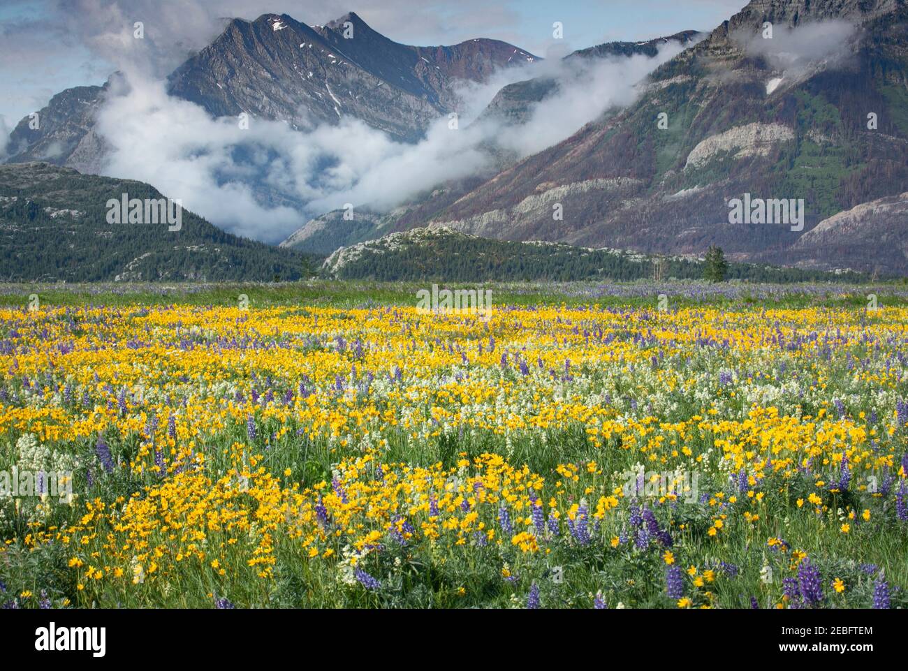 Parc national des Lacs-Waterton - Tourisme Alberta