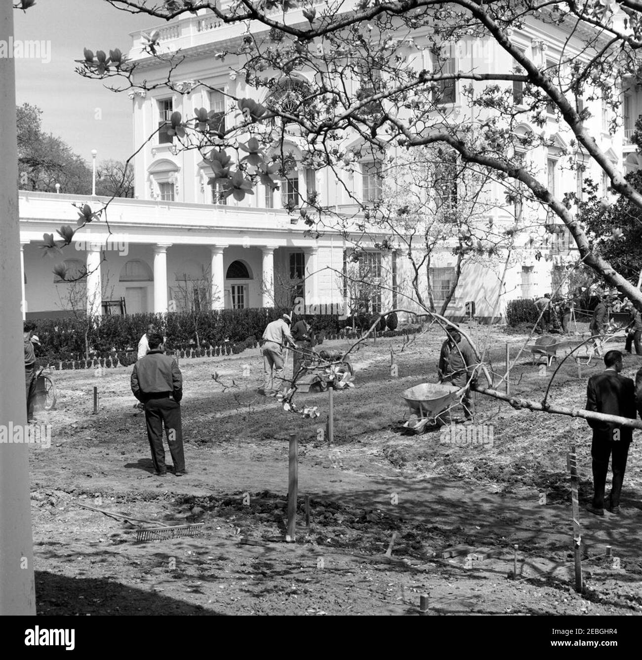Jardin de roses, photos de progrès de la construction. Vue sur la roseraie le long de l'aile ouest Colonnade pendant la construction. White House, Washington, D.C. Banque D'Images