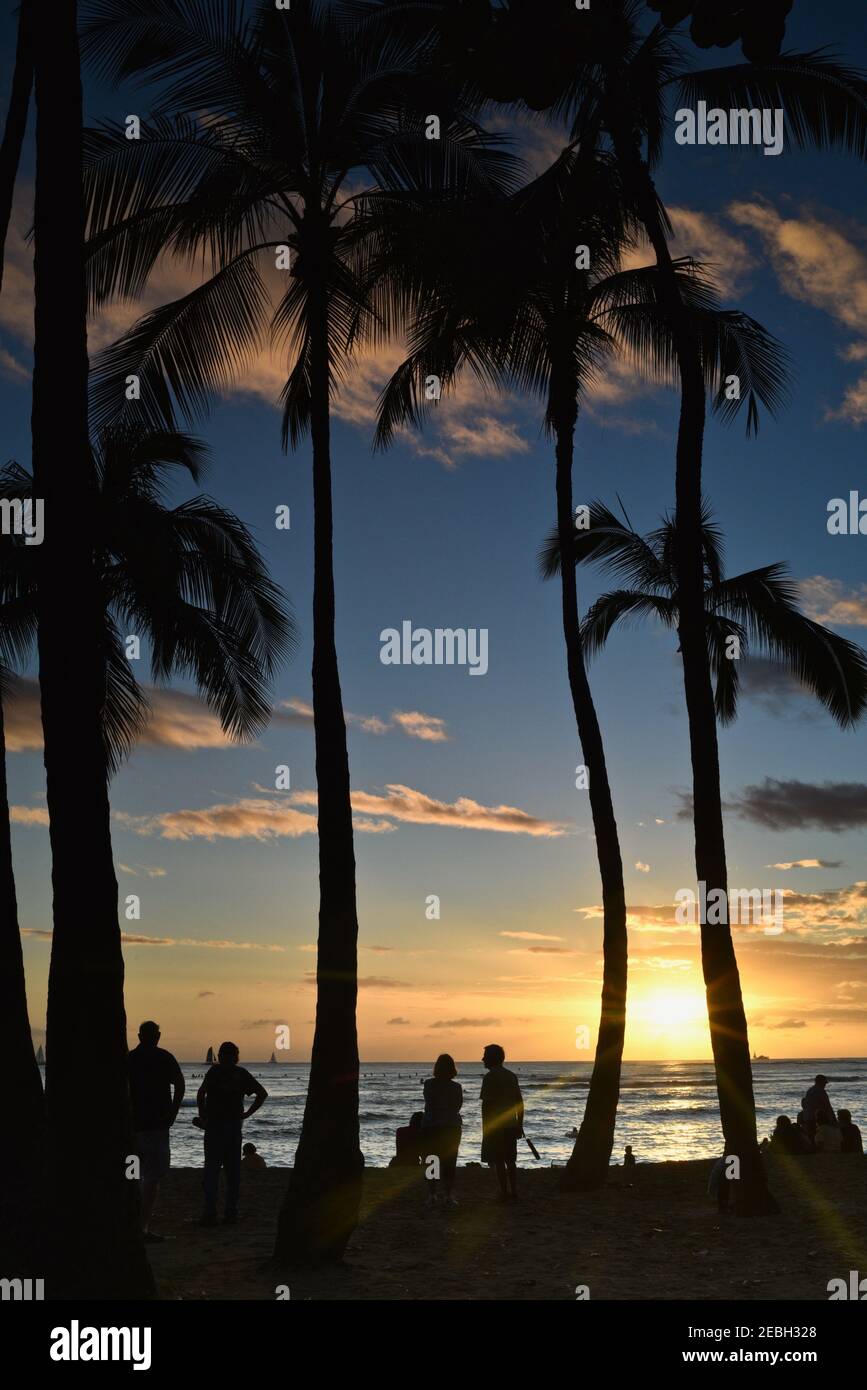 Les gens regardent un coucher de soleil spectaculaire sur la plage de Waikiki, silhoueté par des palmiers, à Oahu, Honolulu, Hawaii, États-Unis Banque D'Images