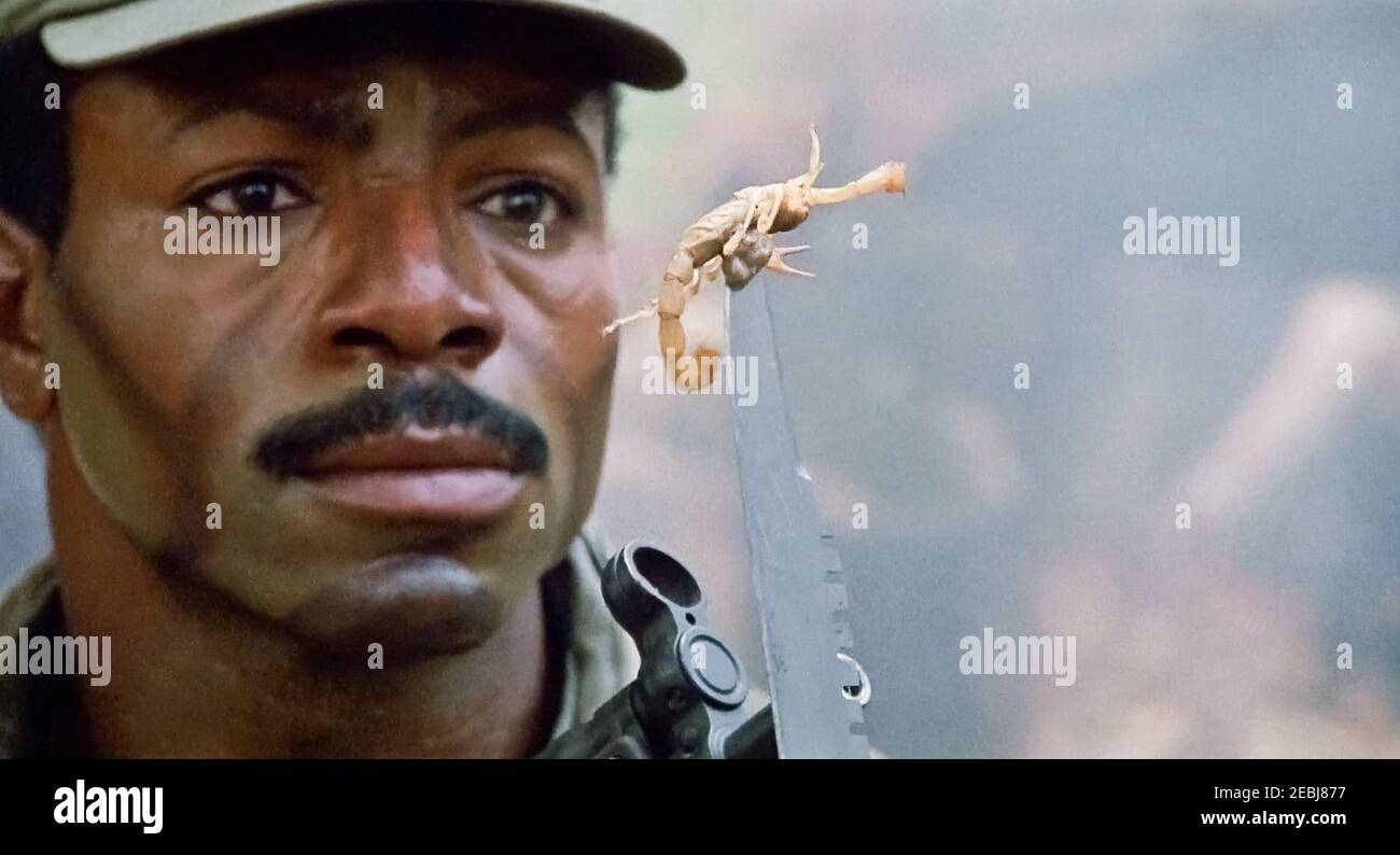 ÉTATS-UNIS. Carl Weathers dans une scène du (C)XXème siècle Fox film : Predator (1987). Parcelle terrain: Une équipe de commandos sur une mission dans une jungle d'Amérique centrale se trouvent chassés par un guerrier extraterrestre. REF: LMK110-J6918-11221 fourni par LMKMEDIA. Éditorial uniquement. Landmark Media n'est pas le propriétaire des droits d'auteur de ces images de films ou de télévision, mais fournit un service uniquement pour les médias reconnus. pictures@lmkmedia.com Banque D'Images
