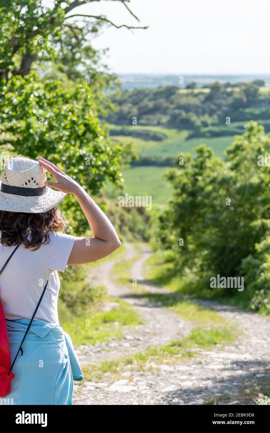 femme sur le dos avec un chapeau regardant le vert paysage Photo Stock -  Alamy