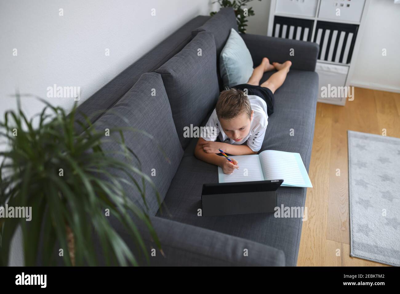 Éducation en ligne, homeschooling. Garçon d'école ayant la leçon en ligne à la maison sur l'entraîneur Banque D'Images