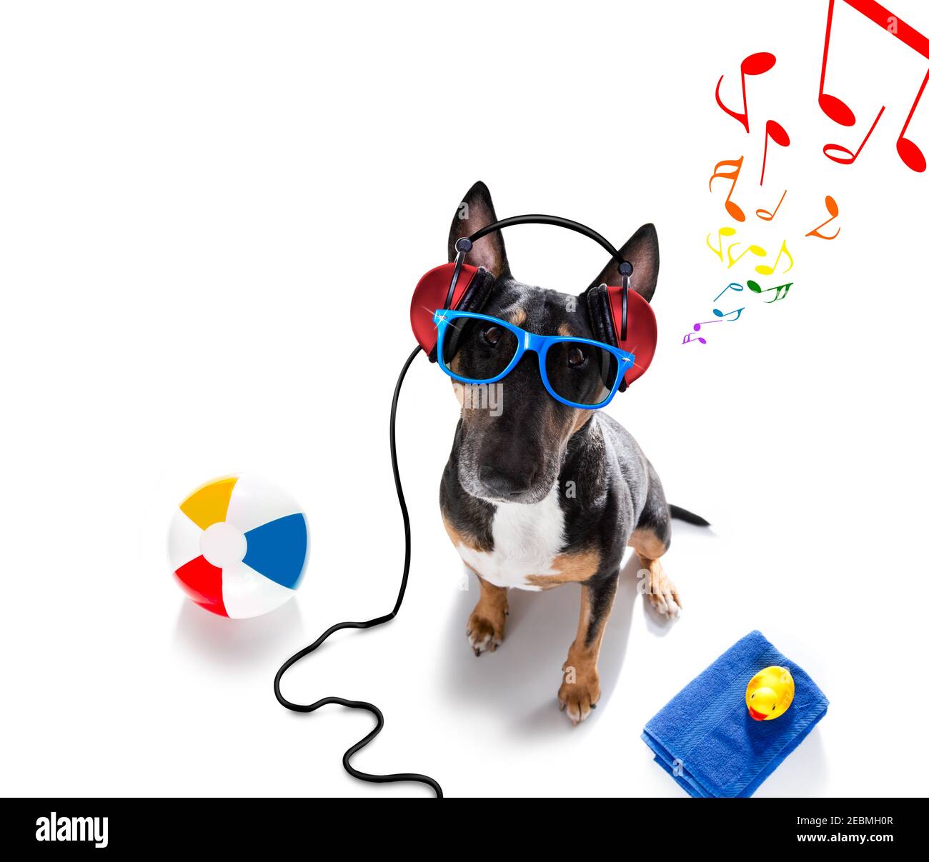 DJ Bull Terrier chien jouant de la musique et prêt pour l'été vacances isolées sur fond blanc Banque D'Images