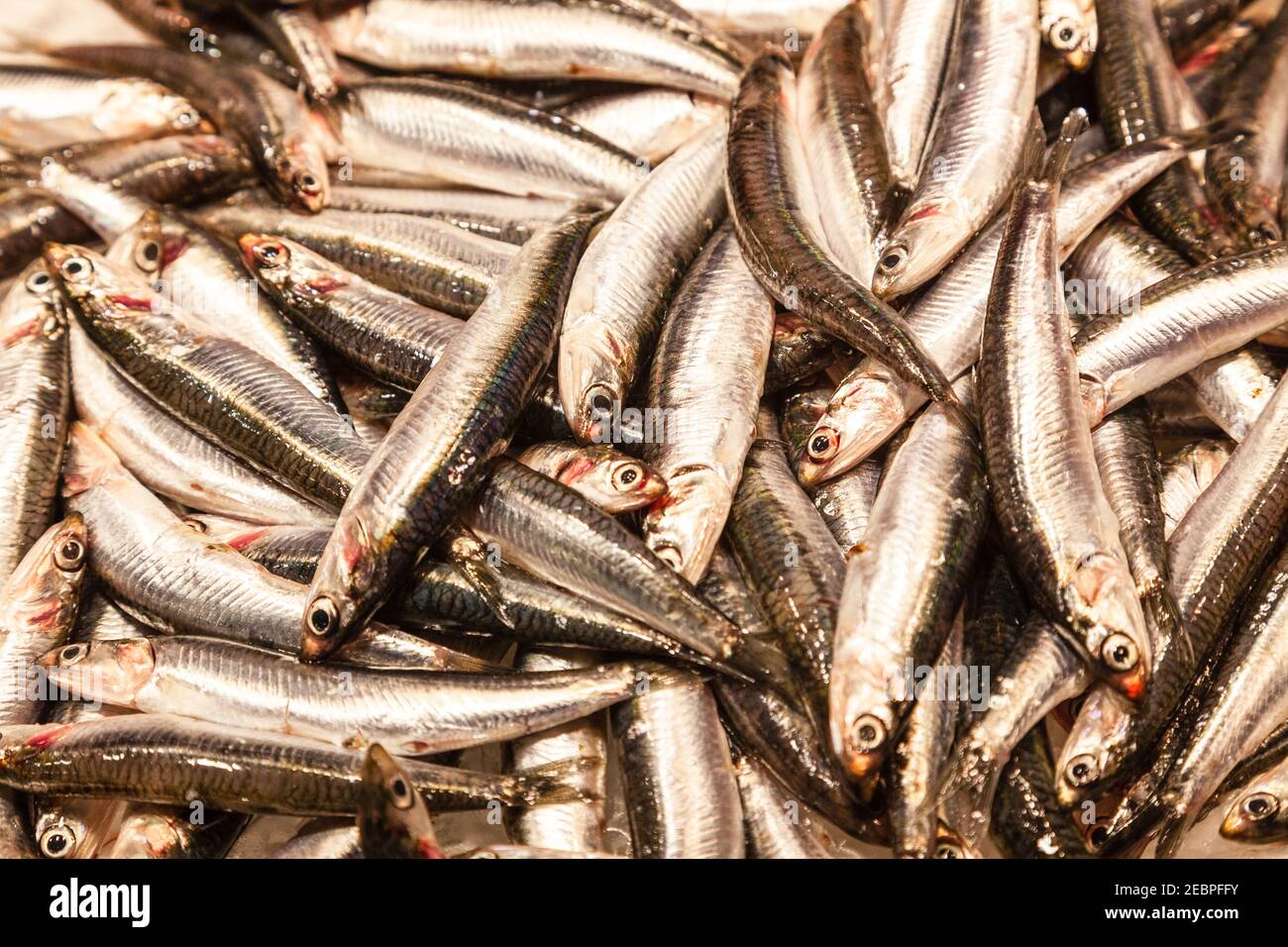 petit poisson argenté sur le marché asiatique Banque D'Images