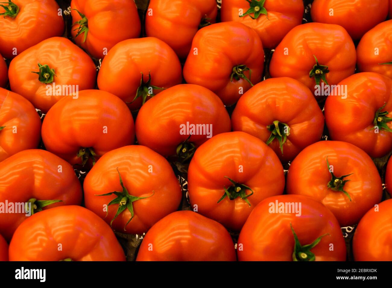 Belles tomates rouges mûres et fraîches Banque D'Images