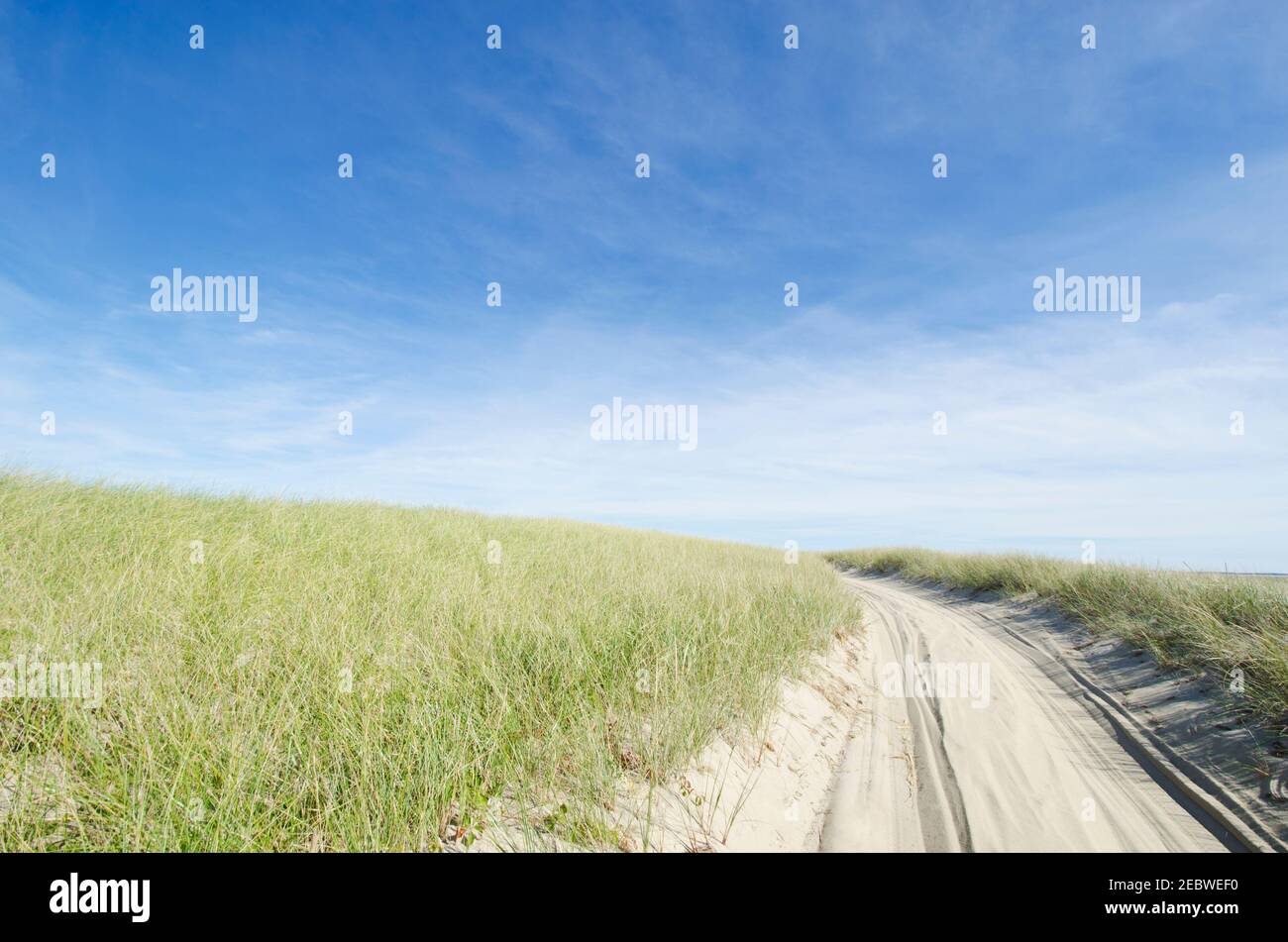 États-Unis, Massachusetts, Nantucket Island, réserve naturelle de Coskata-Coatue, Great point, Chemin de plage vide Banque D'Images