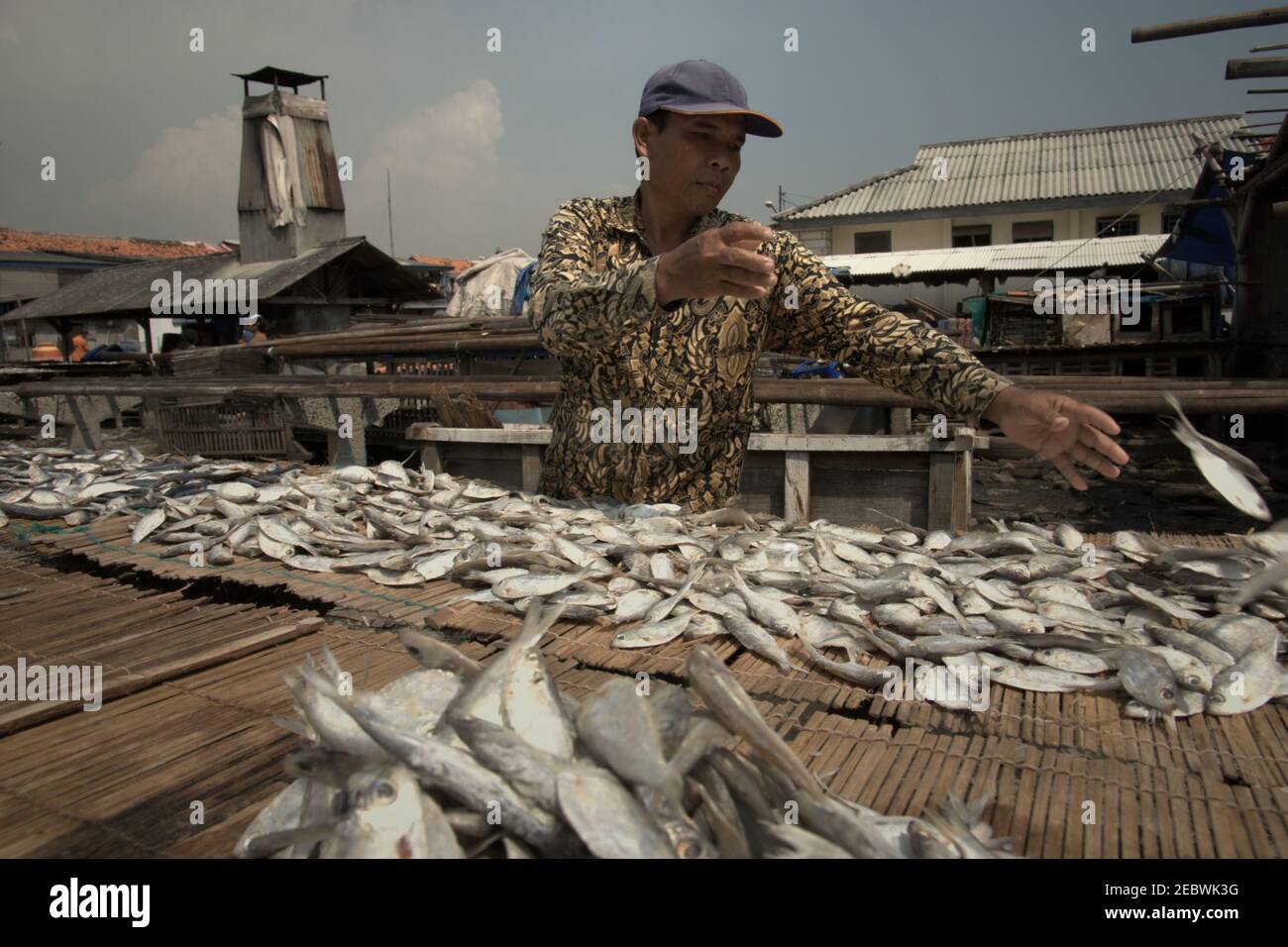 Un travailleur qui organise le séchage des poissons au soleil, dans une zone de production de poissons salés à Muara Angke, dans la zone côtière de Jakarta, en Indonésie. Banque D'Images