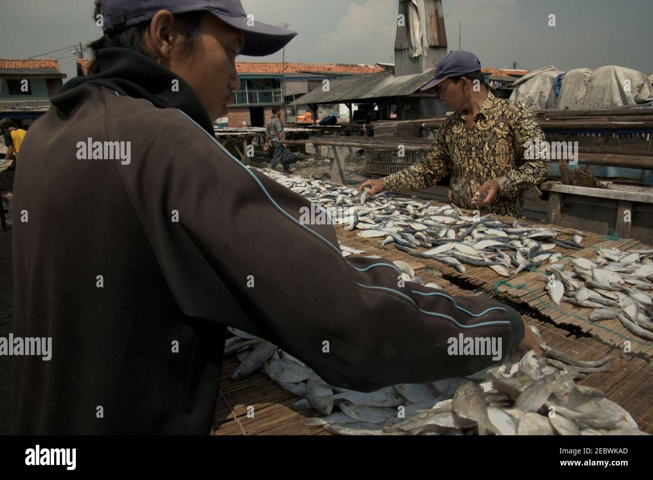 Zone de production de poissons salés à Muara Angke, un village de pêcheurs de la zone côtière de Jakarta, en Indonésie. Banque D'Images
