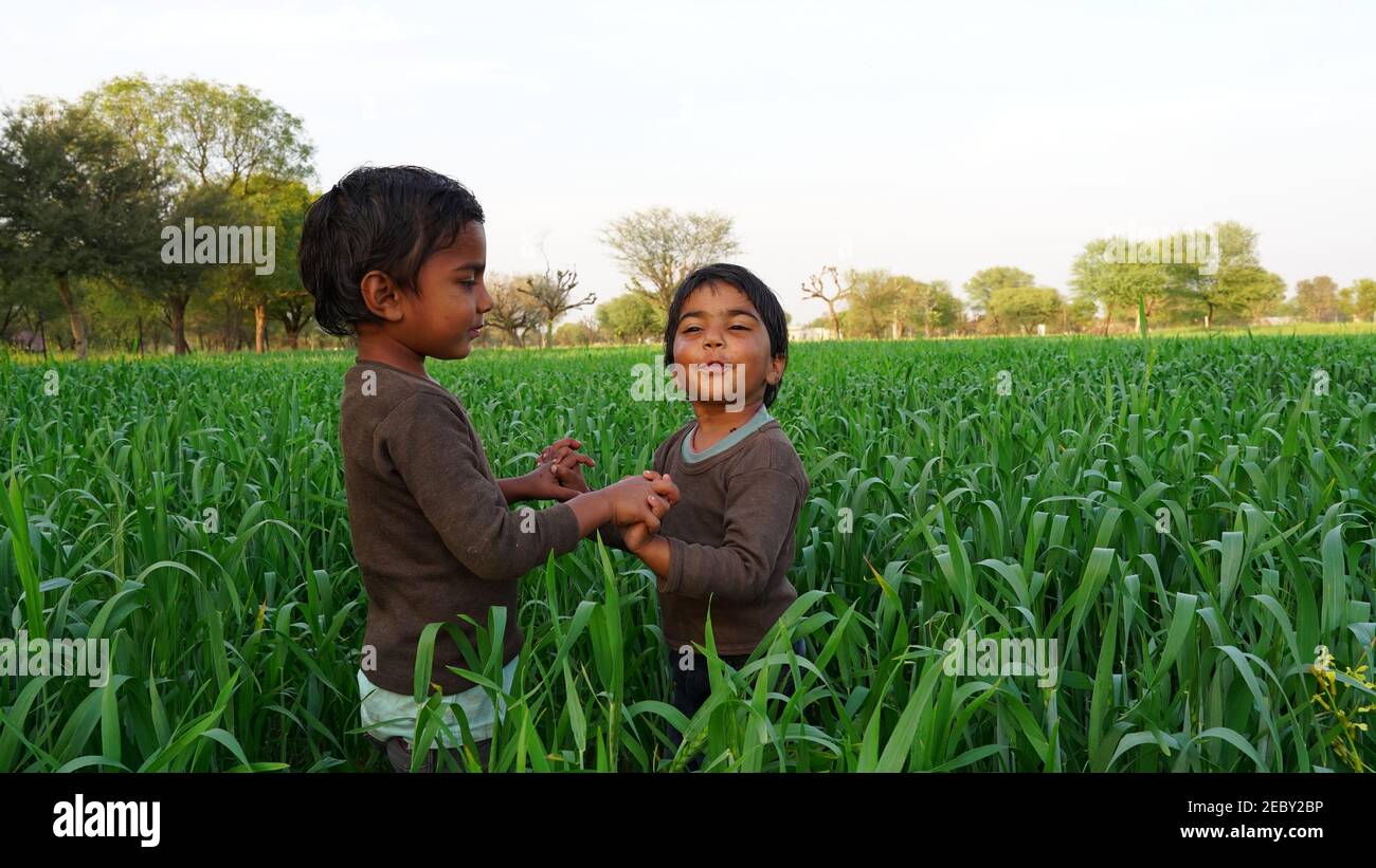 08 février 2021 - Khatoo, Jaipur, Inde. Deux petits garçons enfants qui s'amusent sur Triticale ou Rye Farm en hiver. Les enfants jouent et s'amusent au wi Banque D'Images