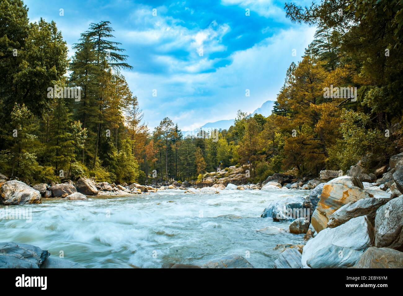 Rivière dans la forêt. La belle rivière s'écoulant entre les prairies alpines dans le tour de l'Himalaya, vallée de Parvati sur un trek au col de Hamta, 4270 m sur le Banque D'Images