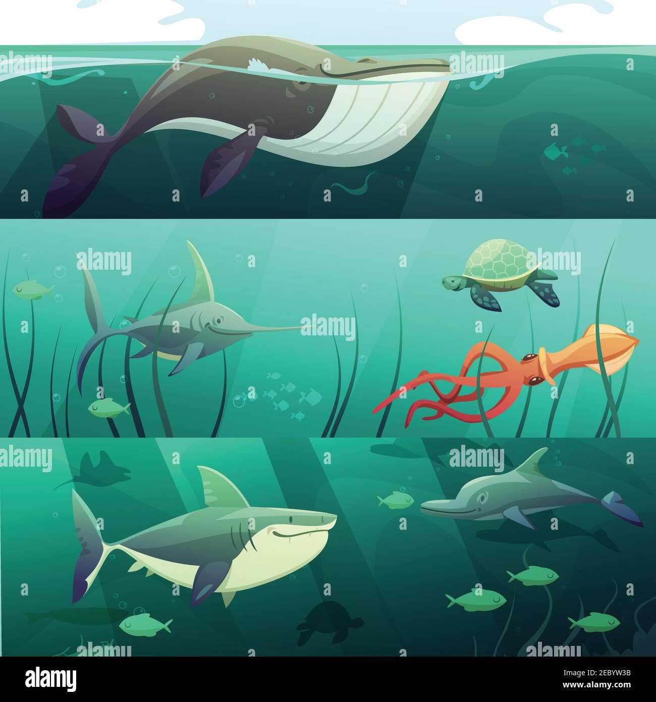 Vie Marine Mignon Grande Baleine Et Requin épaulard Et Dauphin