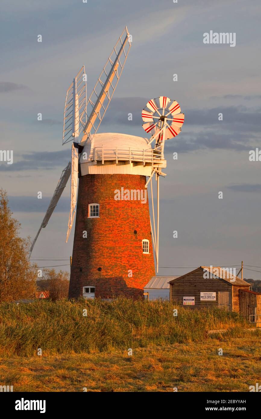 Moulin de drainage Horsey, Norfolk. Image prise de la piste de marche publique. Banque D'Images