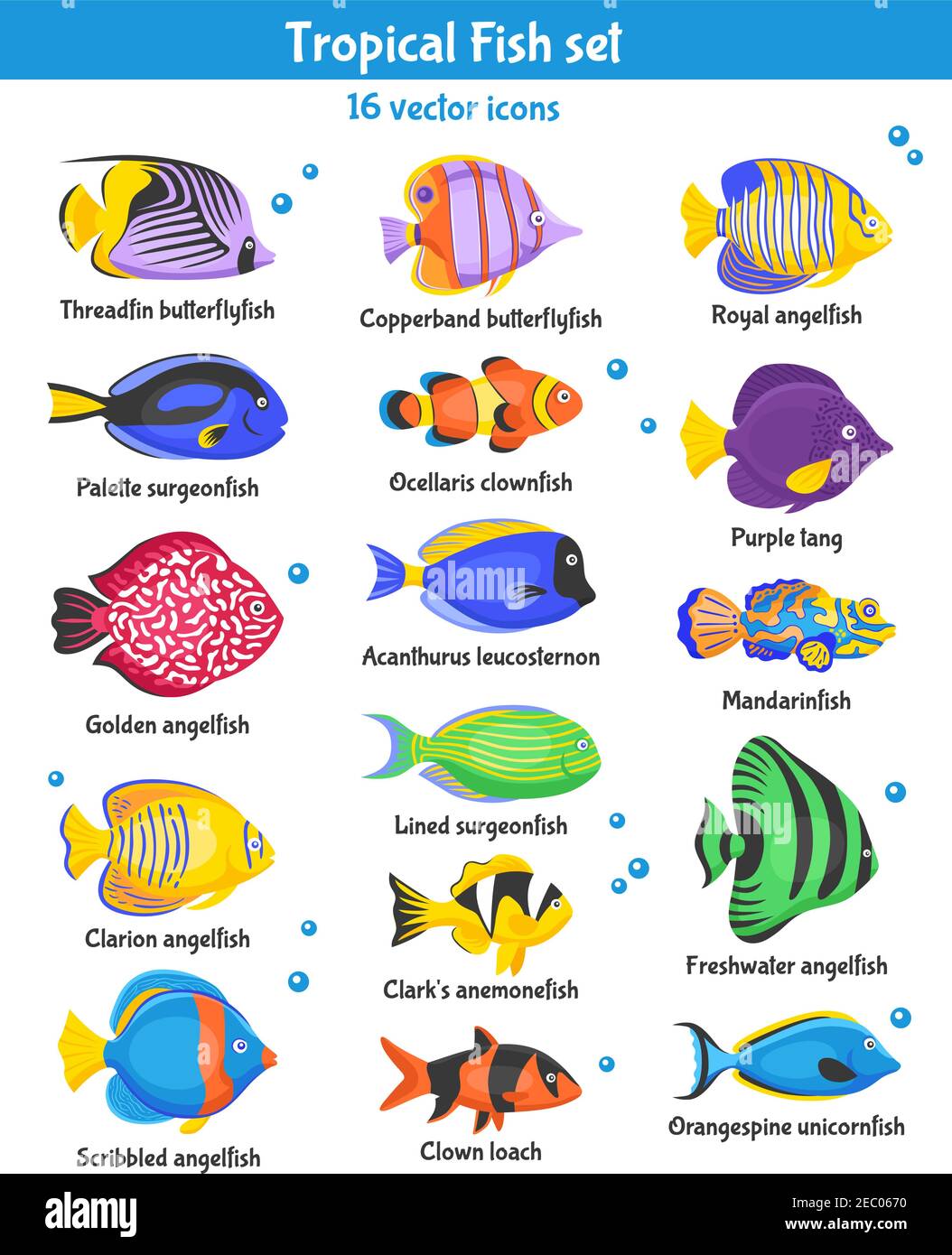 Icônes exotiques de poissons tropicaux avec des espèces de poissons isolées à plat illustration vectorielle Illustration de Vecteur