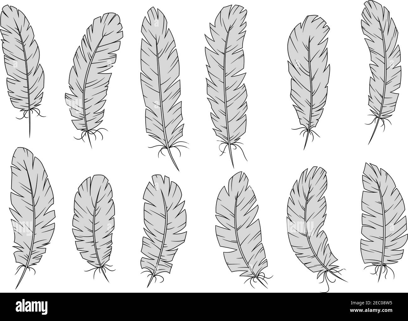Plumes d'oiseau et plumes d'oiseau design pour l'art, la poésie et la littérature concepts avec des plumes d'oie ou de cygne Illustration de Vecteur