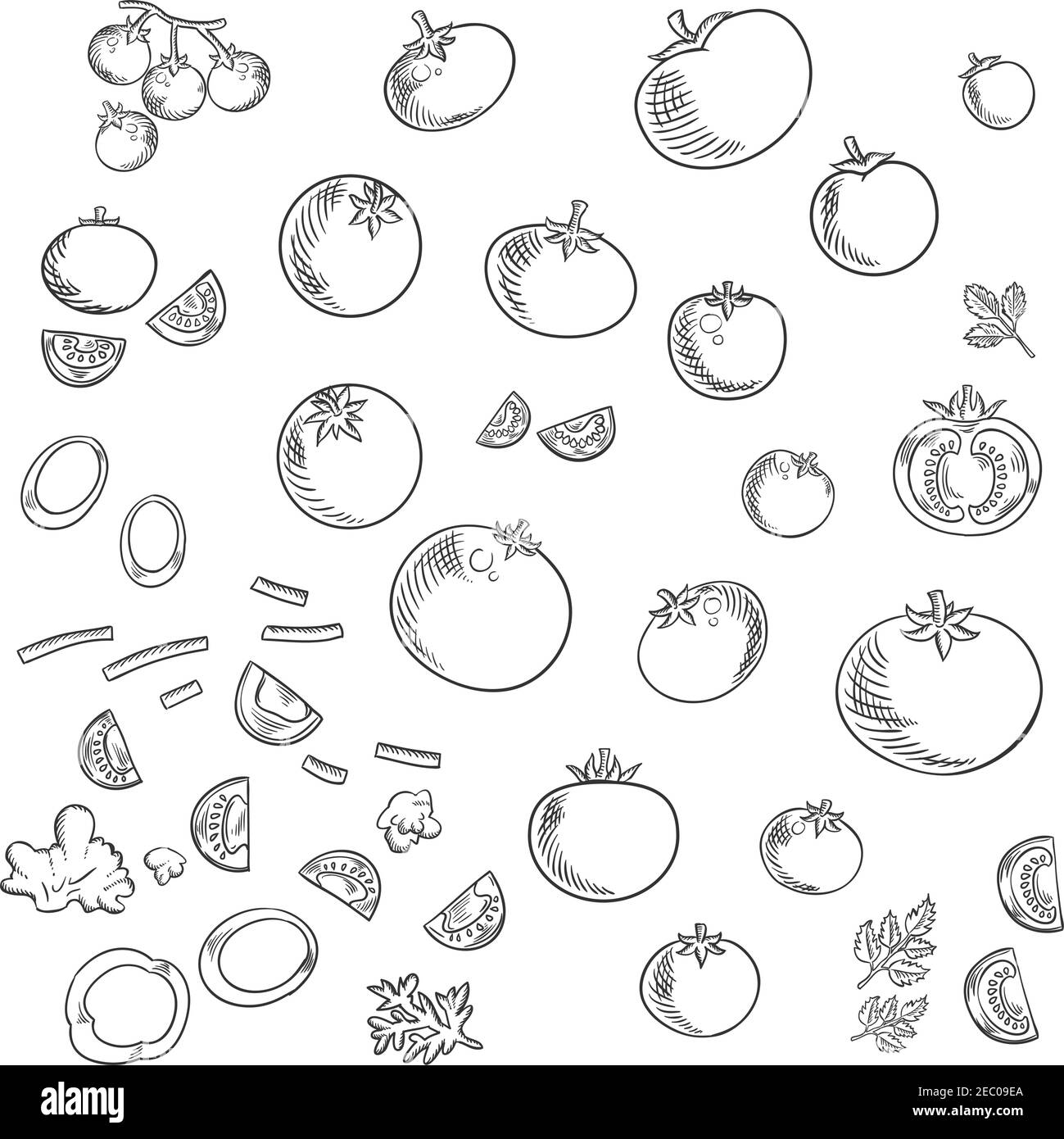 Tomates rouges fraîches mûres légumes de style plat avec des tomates entières, des moitiés et des tranches de tomates de jardin avec des tiges vertes, branche de tomates cerises douces, ch Illustration de Vecteur