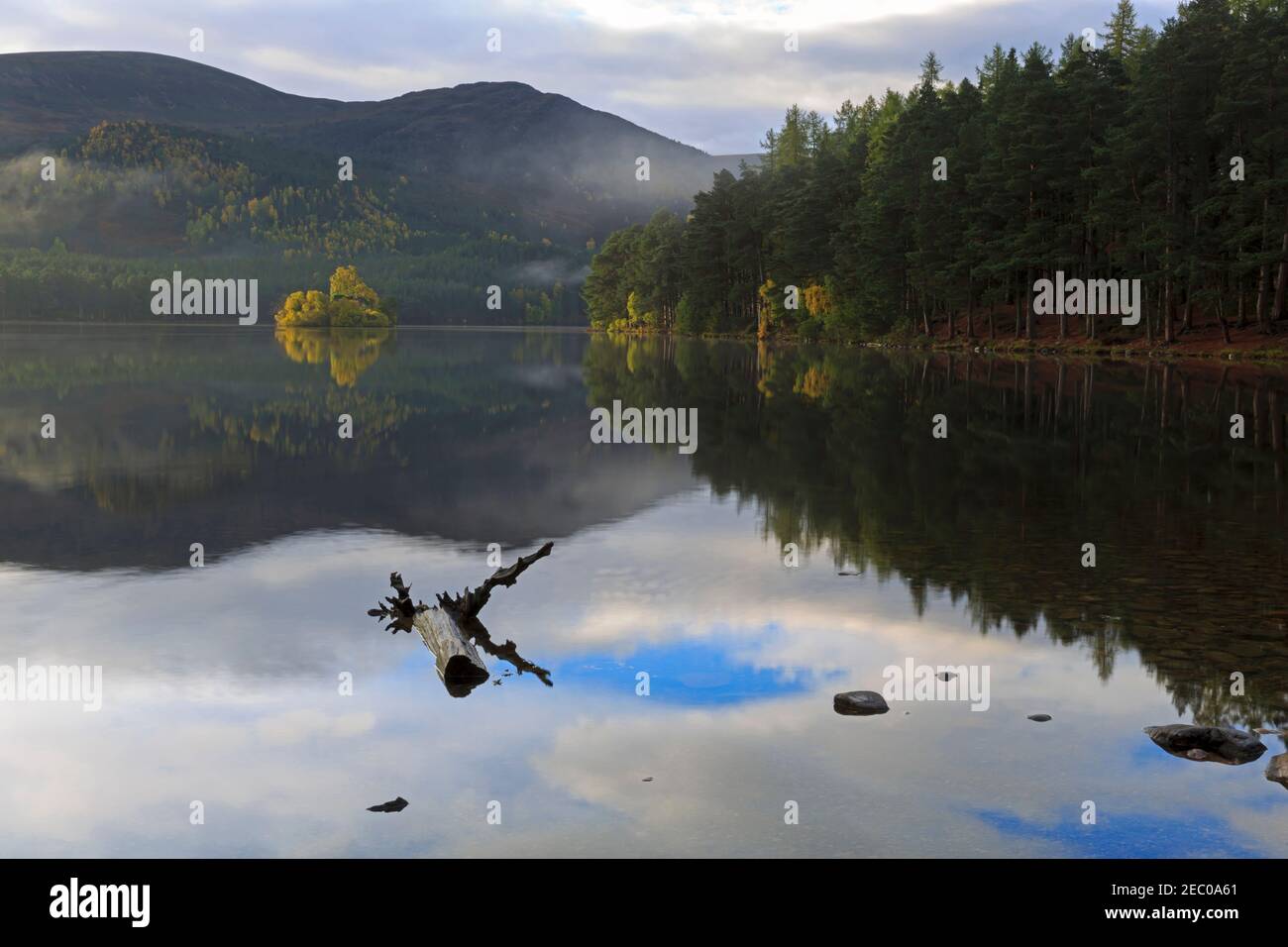 Lumière de l'aube au Loch an Eilein, forêt de Rothiemurchus, Cairngorms, Highlands écossais Banque D'Images