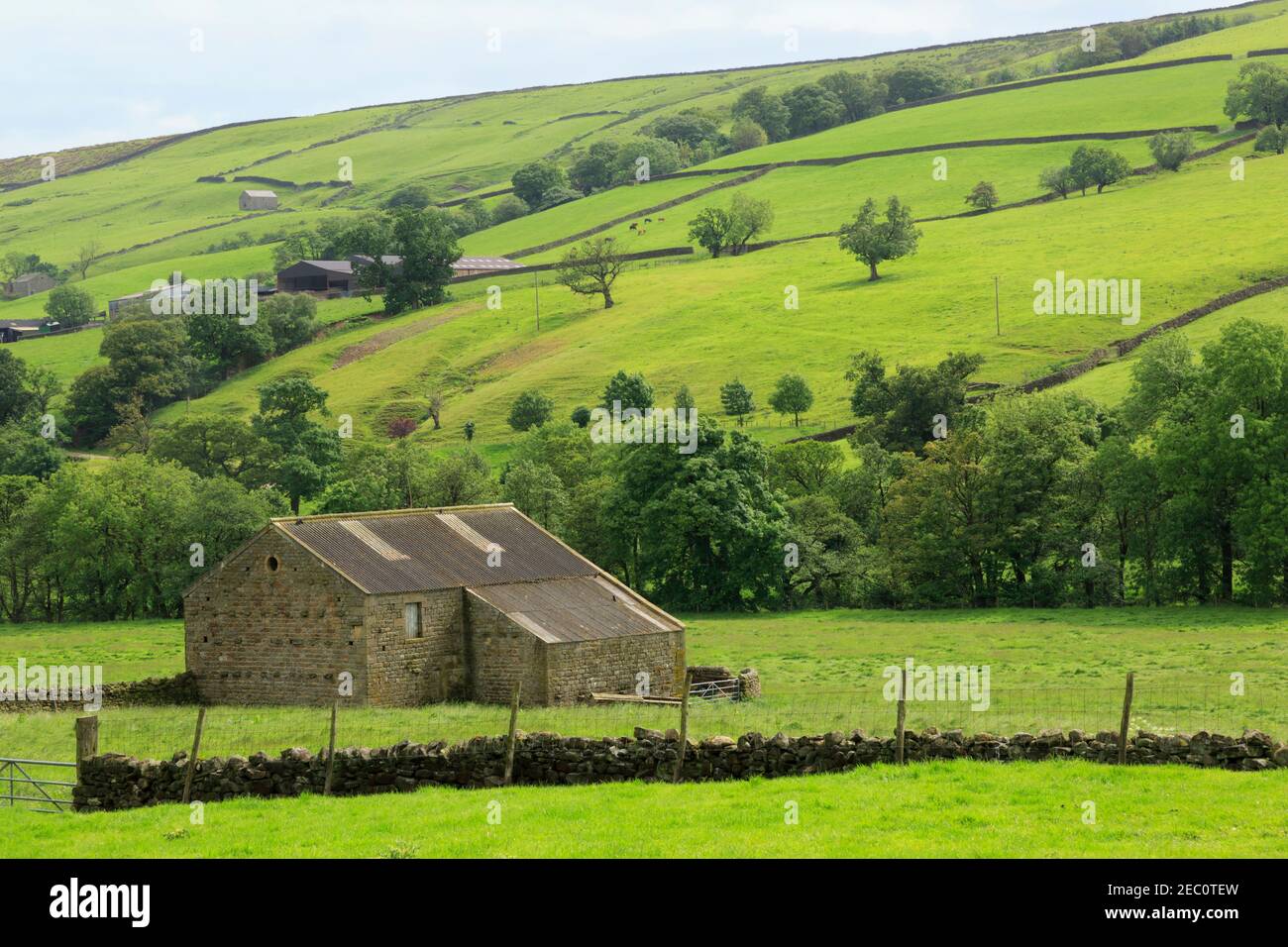 Nidderdale, Yorkshire du Nord. Banque D'Images