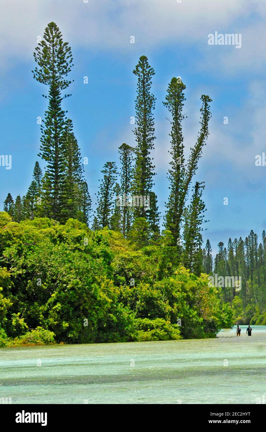 Baie d'Oro, île Pines, Nouvelle-Calédonie, France Banque D'Images