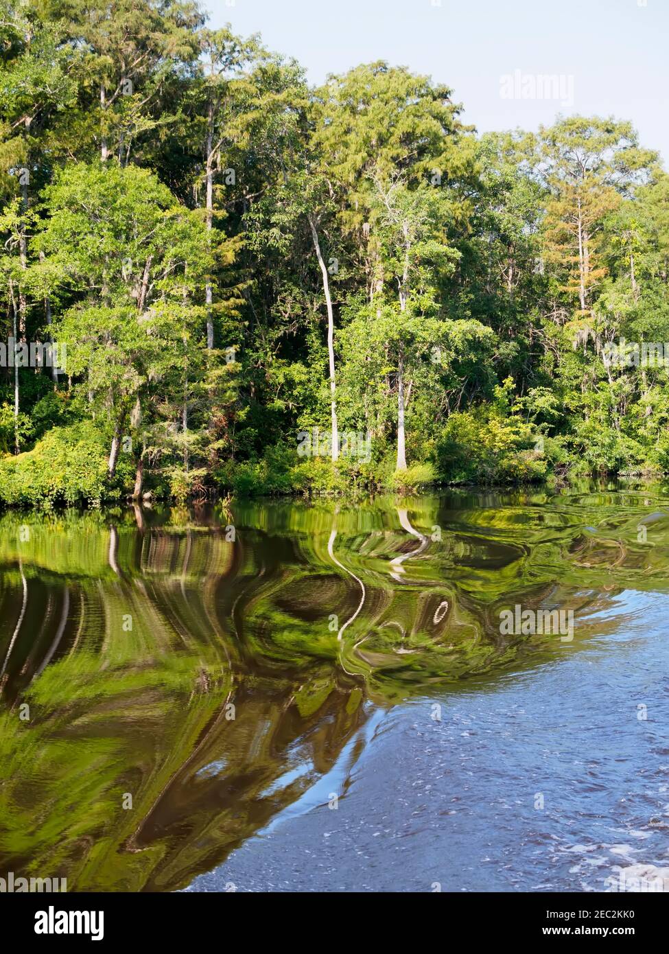 Rivière Waccamaw, Caroline du Sud Banque D'Images