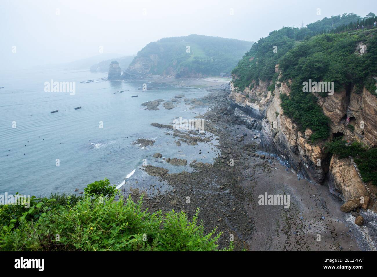 Photo aérienne d'arbres et de verdure sur une falaise à proximité la mer Banque D'Images