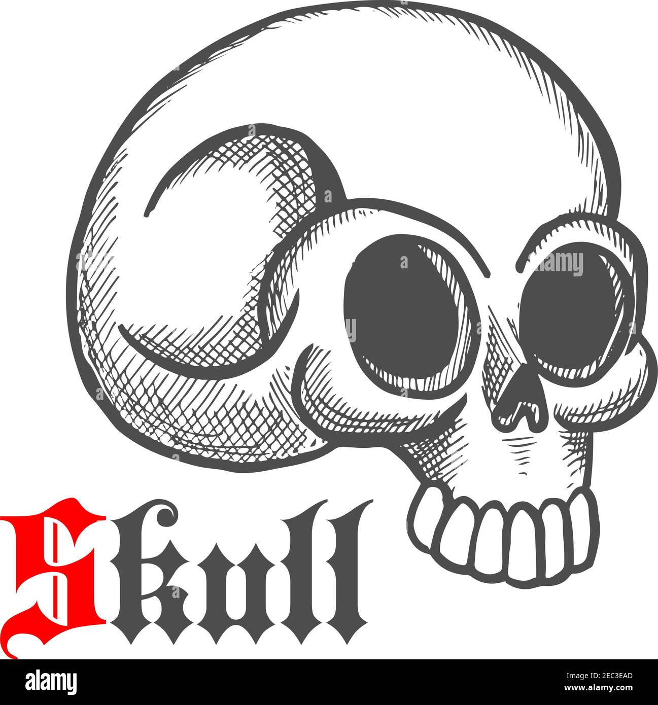 Illustration d'une gravure vintage d'un crâne humain monstrueux avec os temporal cassé. Peut être utilisé comme tatouage, bijoux ou t-shirt imprimé Illustration de Vecteur