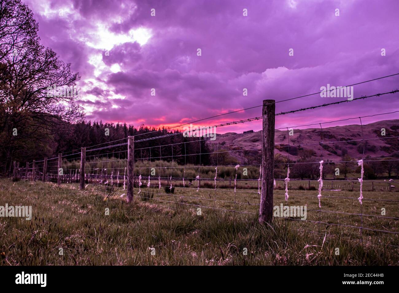 Ciel violet en colère spectaculaire derrière une clôture en fil de fer dans un champ Banque D'Images