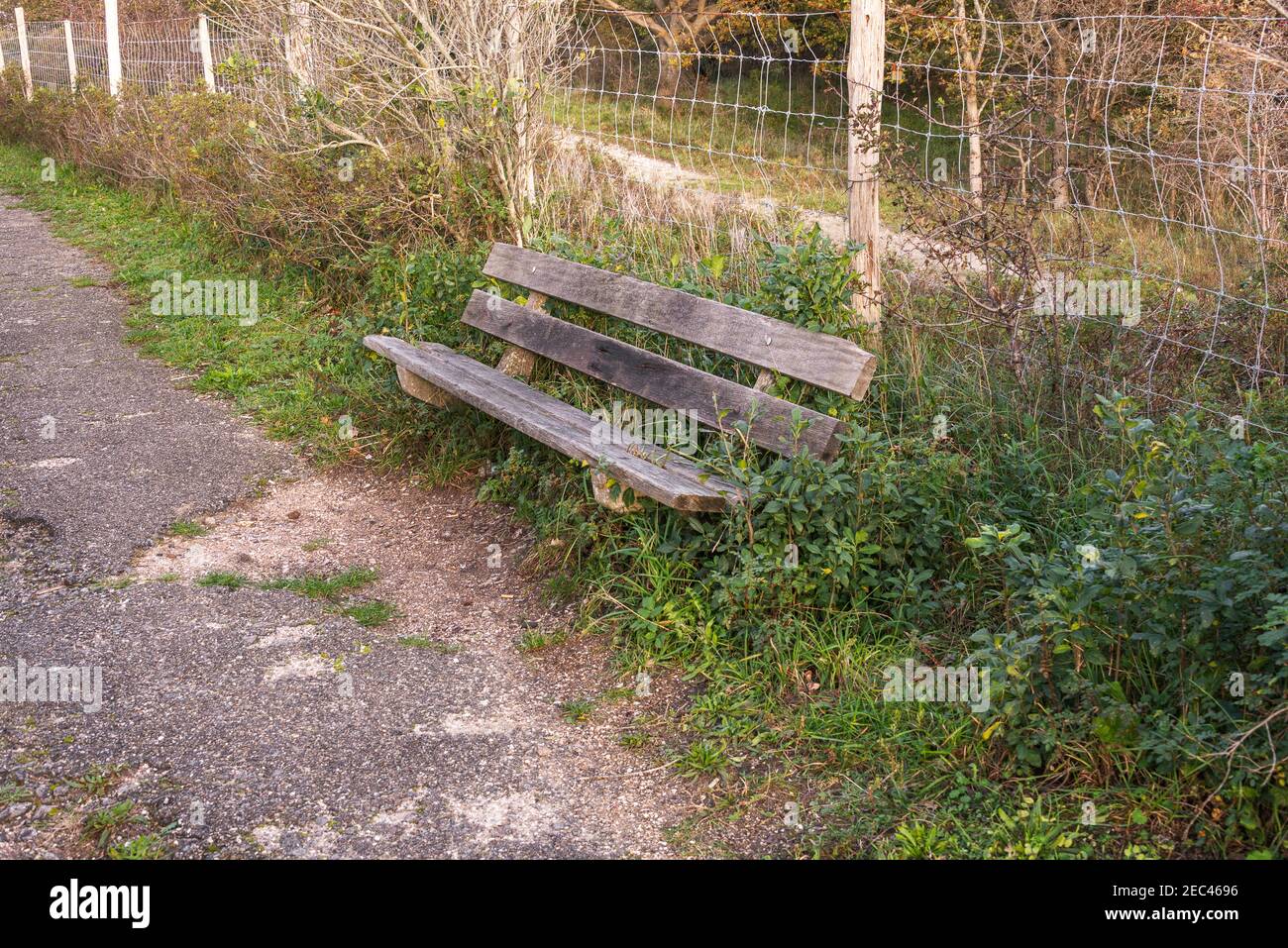 banc en bois devant une clôture près d'un pays route près de la forêt Banque D'Images