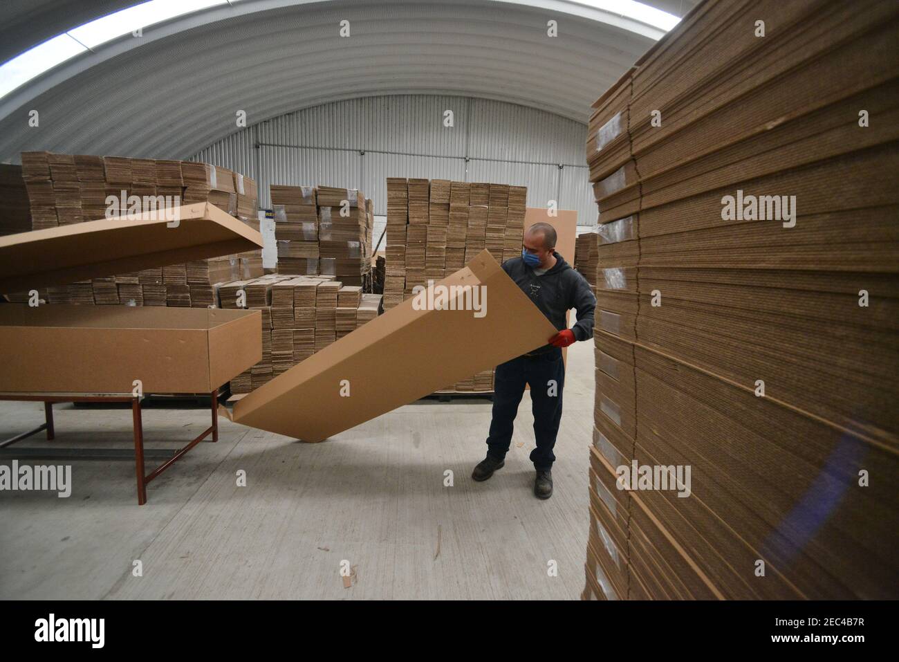 Toluca, Mexique. 12 février 2021. Un travailleur de l'usine de boîtes en carton KJ, pendant l'assemblage d'un cercueil en carton. En raison de l'augmentation des décès de covid et de l'augmentation du chômage dans le pays, l'usine de carton KJ met en œuvre des coffrets fabriqués en carton recyclé, aux personnes à faible revenu et qui n'ont pas le soutien d'acheter un cercueil en bois ou en aluminium. Ces cercueils en carton sont principalement destinés aux travailleurs d'entreprises ou aux salons funéraires. (Photo par Eyepix Group/Pacific Press) crédit: Pacific Press Media production Corp./Alay Live News Banque D'Images