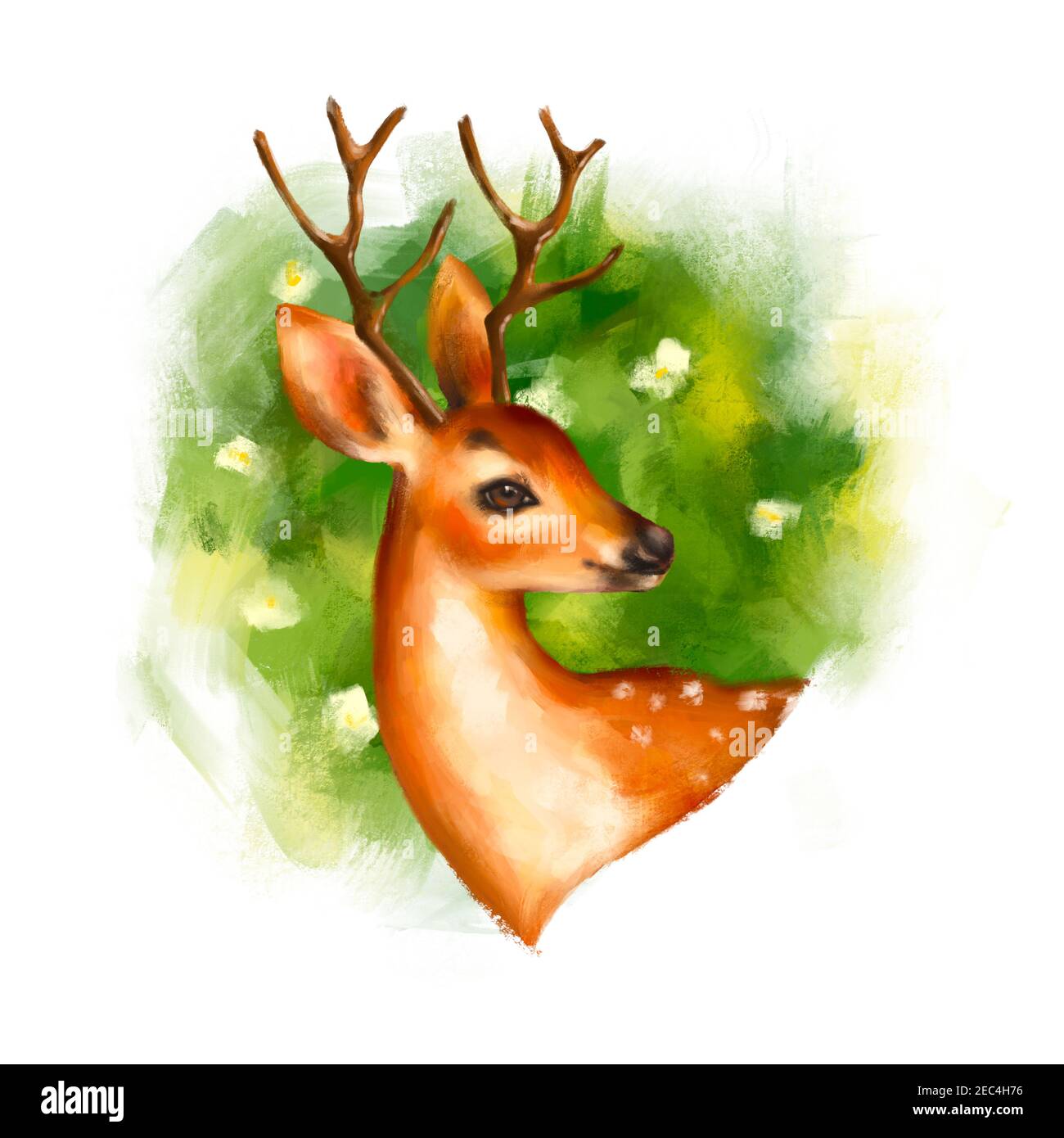 Jolie illustration colorée du cerf, motif été pour carte de vœux Banque D'Images