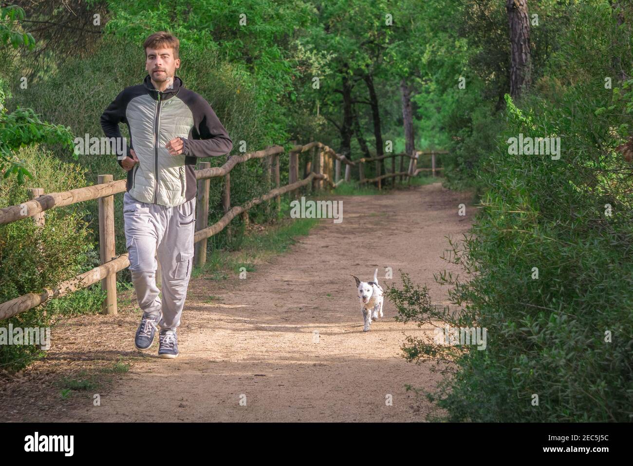 Homme sportif qui court rapidement avec son chien sur le sentier du parc des arbres verts dans l'après-midi. Concept de mode de vie sain.. Banque D'Images