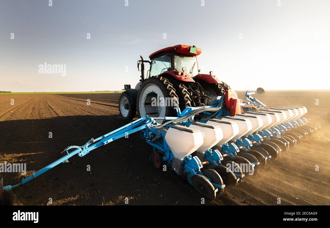 Agriculteur avec ensemencement de tracteur - semis de récoltes dans un champ agricole. Plantes, blé. Banque D'Images