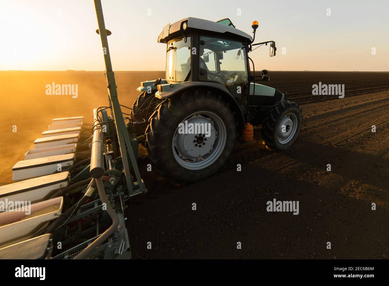 Agriculteur avec ensemencement de tracteur - semis de récoltes dans un champ agricole. Plantes, blé. Banque D'Images