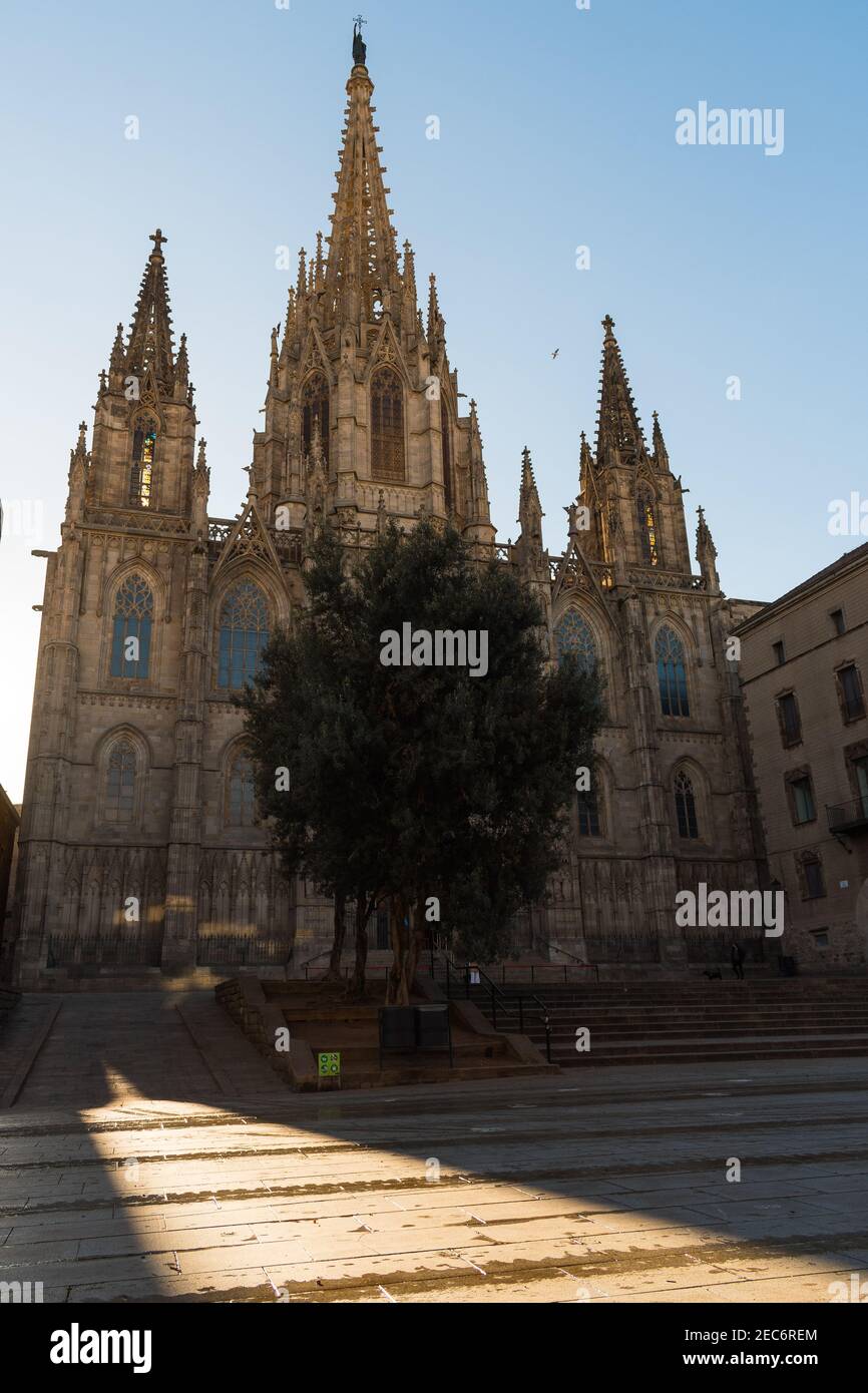 Façade de la cathédrale de Santa Eulalia, Barcelone Banque D'Images