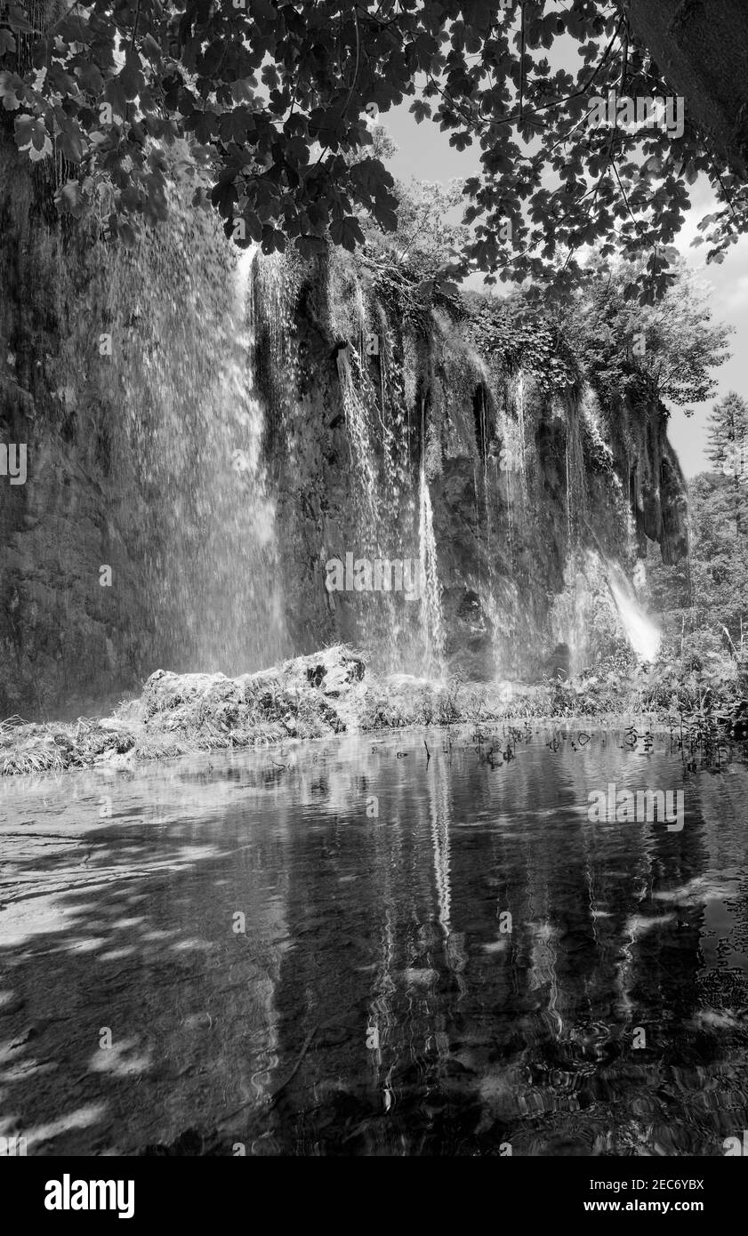Niveaux de gris. Réflexion en cascade dans un petit lac transparent (parc national des lacs de Plitvice, Croatie). Banque D'Images