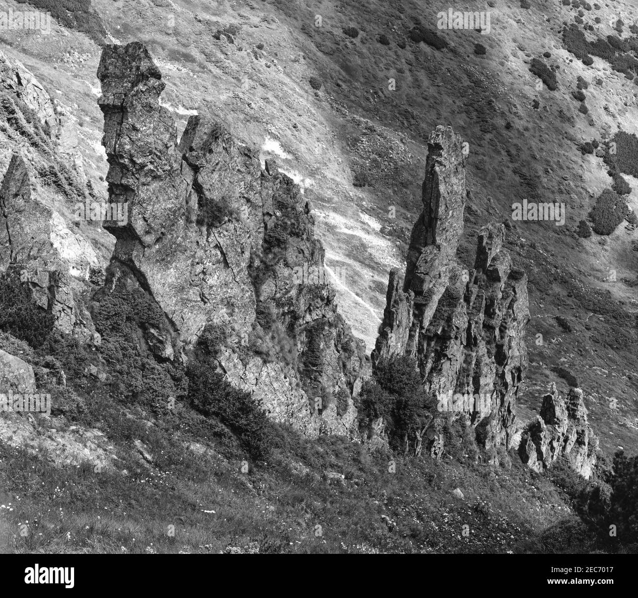 Niveaux de gris. Piste de montagne d'été avec des formations rocheuses pittoresques. Montagne de Shpyci, Carpathian, Ukraine. Banque D'Images