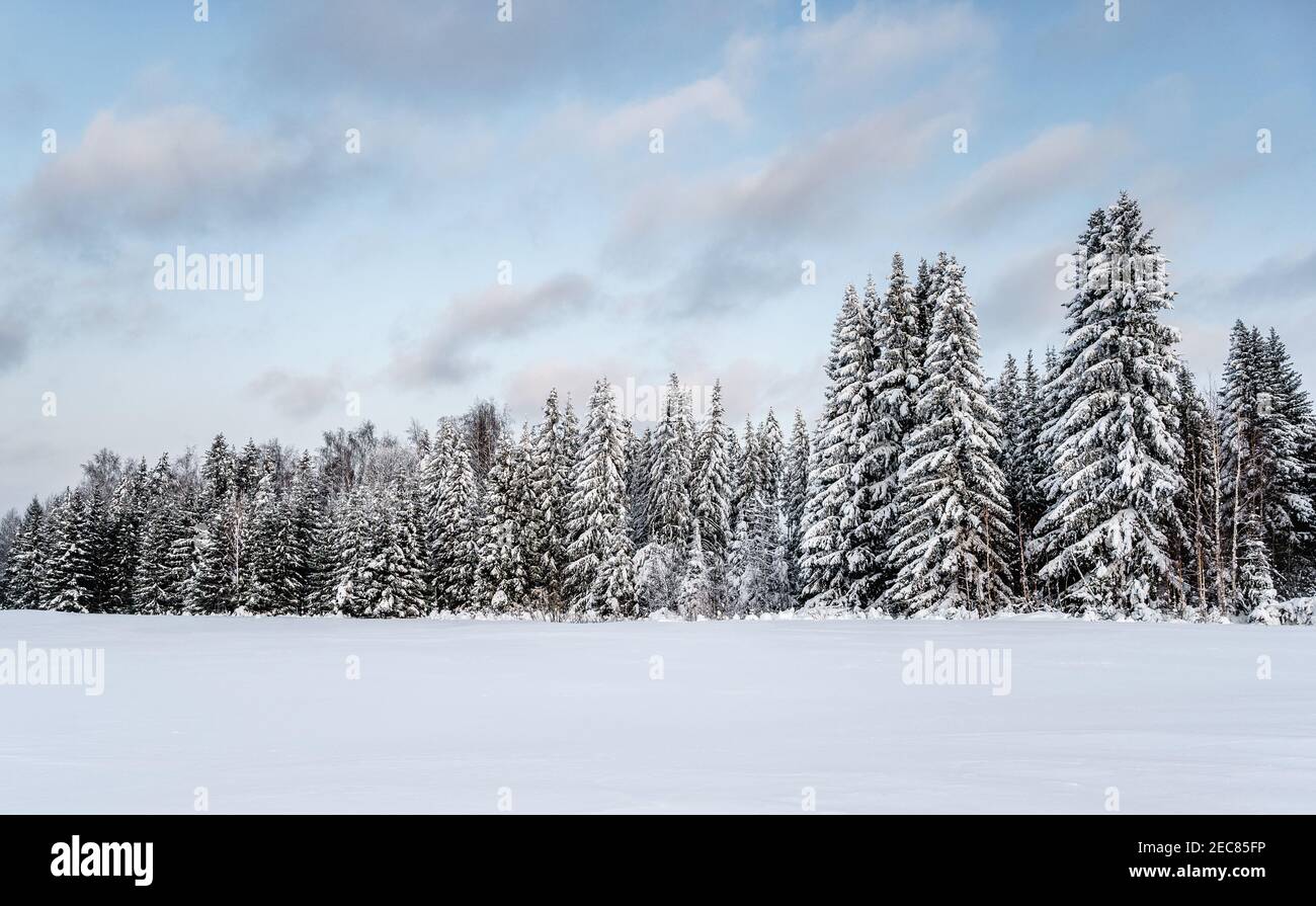 Paysage d'hiver, forêt après la neige, nuages dans le ciel Banque D'Images