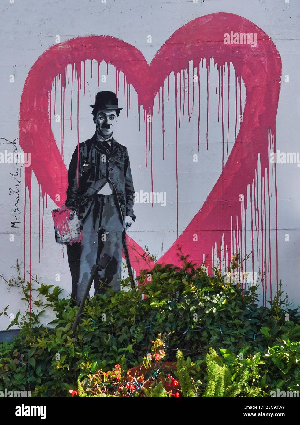 Carmel, États-Unis. 12 février 2021. Le graffiti californien d'un coeur et Charlie Chaplin sont exposés sur le mur du jardin dans le domaine du Cypress Inn dans le centre de Carmel, CA., USA l'auberge était autrefois la propriété de la légende d'Hollywood Doris Day. Crédit : Motofoto/Alay Live News Banque D'Images