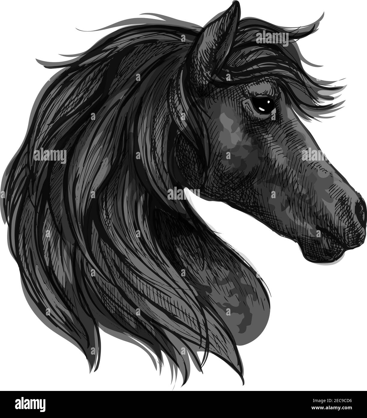 Portrait de la tête de cheval Raven. mustang noir avec de longues lamanes ondulées et des yeux pensifs réfléchis Illustration de Vecteur