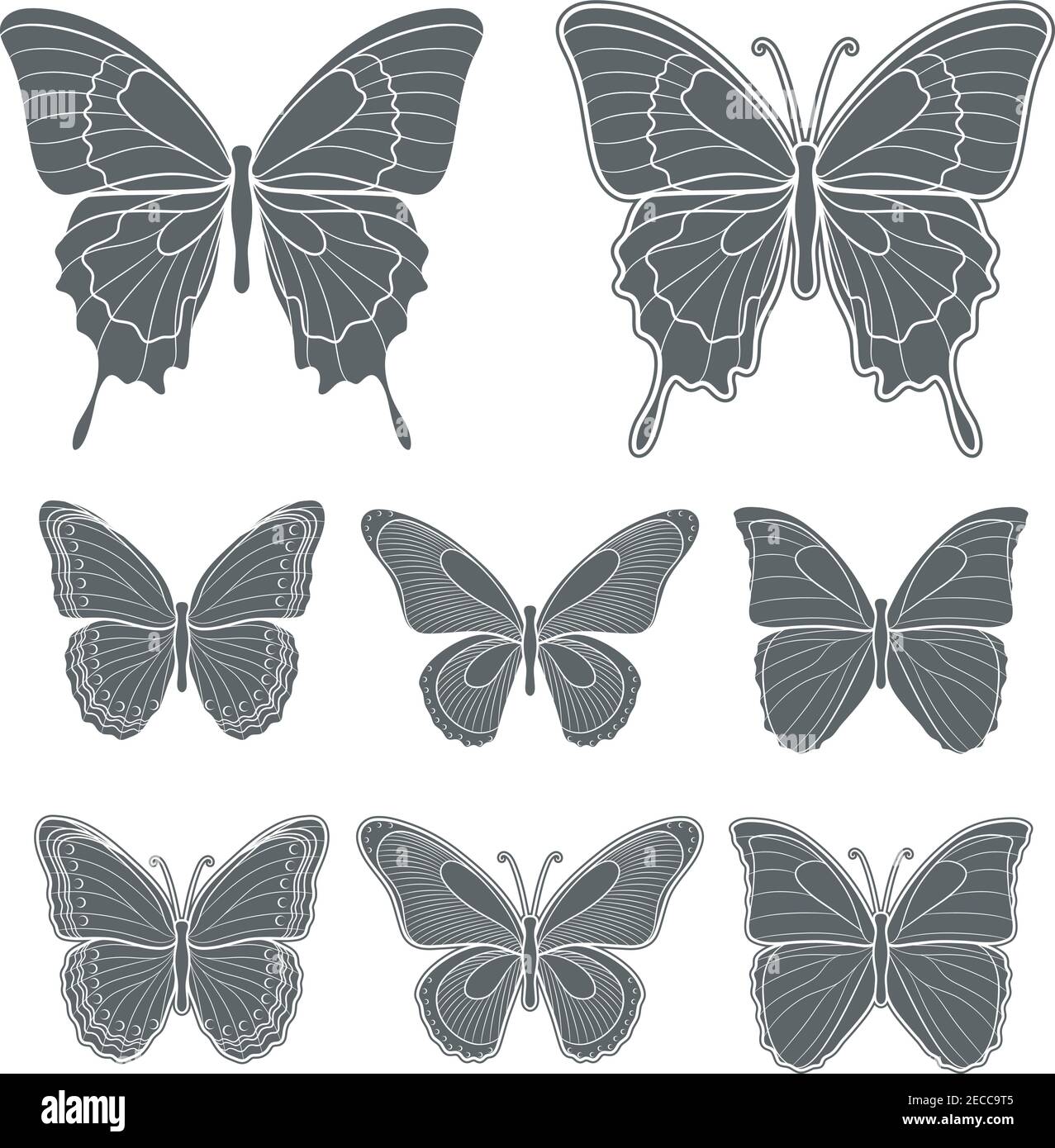 Ensemble de papillons vectoriels. Objets isolés sur blanc. Illustration de Vecteur