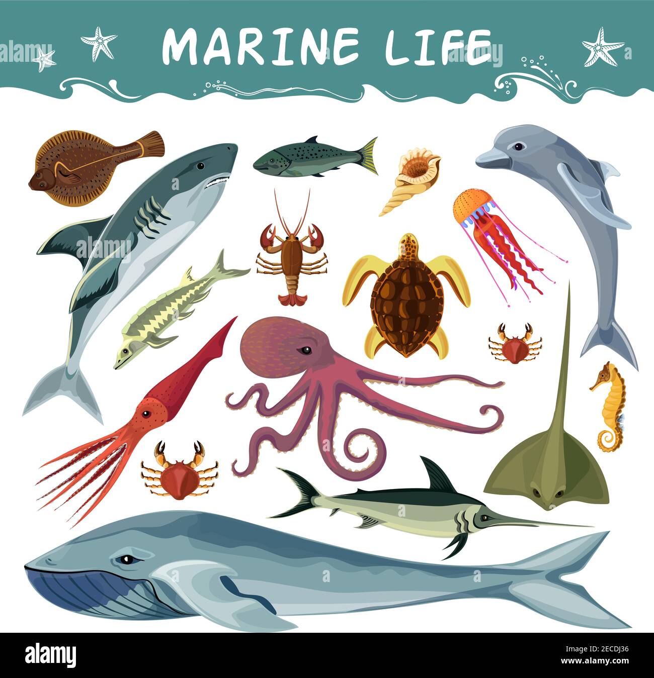 Les habitants marins caricaturades icônes décoratives ensemble avec la mer de requin dauphin illustration d'un vecteur plat isolé de calamar de crabe de tortue octopus Illustration de Vecteur