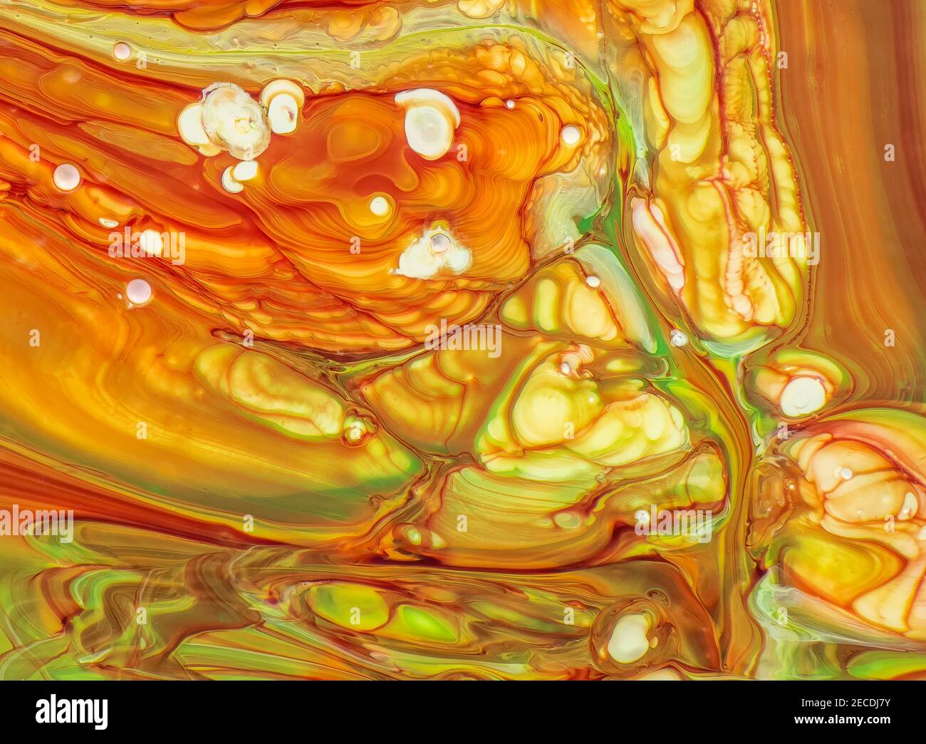 Image abstraite de diverses couleurs de peinture acrylique mélangées utilisation d'une technique de déverstage de peinture Banque D'Images
