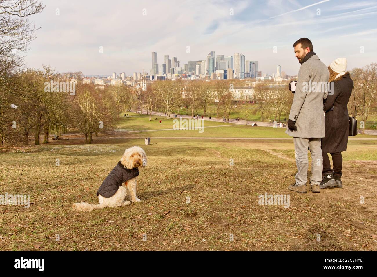 Une jeune femme se câlin à un homme tenant un café regardant leur animal de compagnie en piqué donnant sur le quai financier des canaries Centre de Londres dockland Banque D'Images