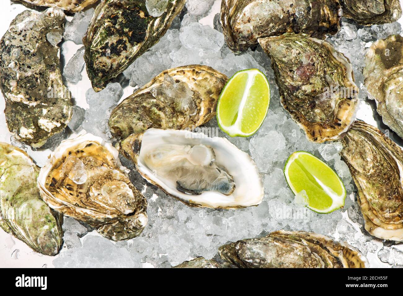 Huîtres fraîches sur glace. Fond de fruits de mer. Cuisine gastronomique Banque D'Images